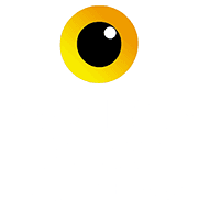 Projects Today